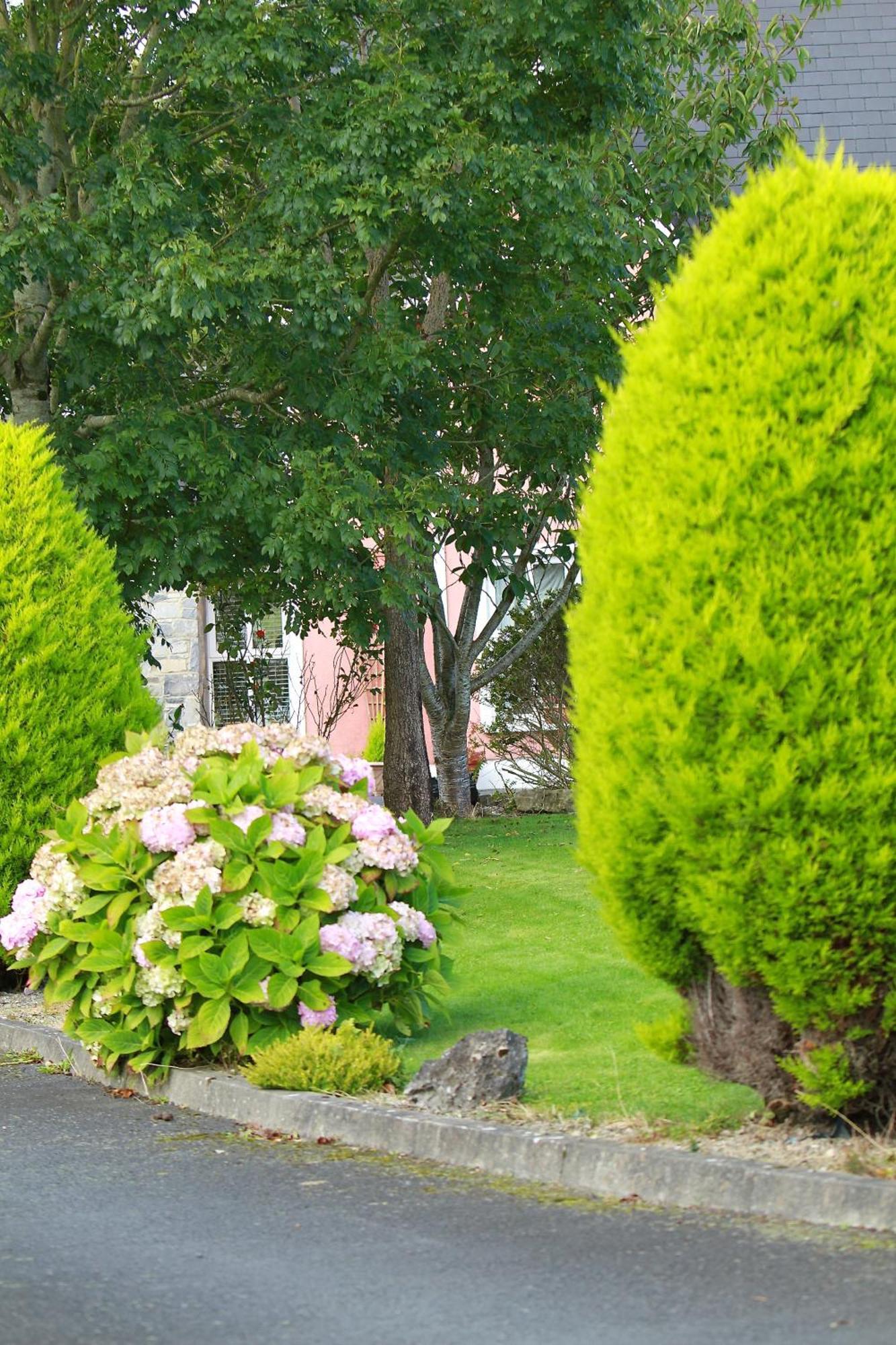 Parkhouse B&B Bunratty Exterior photo